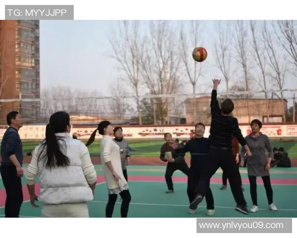 南京排球队的团队协作之道：探索排球运动中的默契与配合技巧